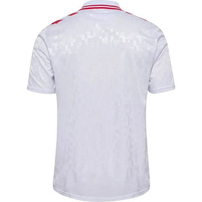Camiseta Dinamarca 24/25 II de Visitante - Versión Aficionado